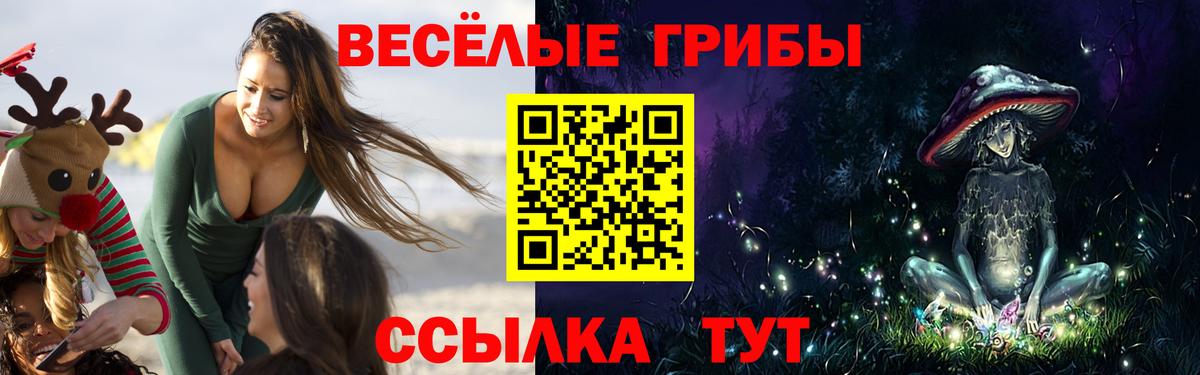 Псилоцибиновые грибы GOLDEN TEACHER Асбест